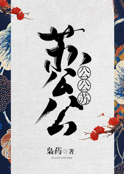 苏公公小说
